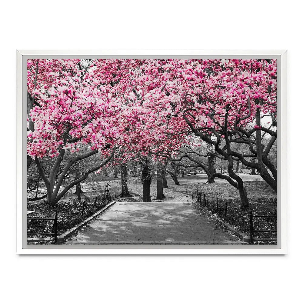 Pink Blossom Trees Canvas Print Pink Blossom Trees Canvas Print wall art product Ryan DeBerardinis / Shutterstock