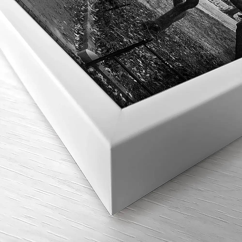 Pink Blossom Trees Canvas Print Pink Blossom Trees Canvas Print wall art product Ryan DeBerardinis / Shutterstock