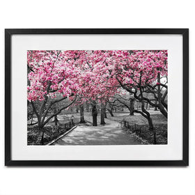 Pink Blossom Trees Framed Art Print Pink Blossom Trees Framed Art Print wall art product Ryan DeBerardinis / Shutterstock