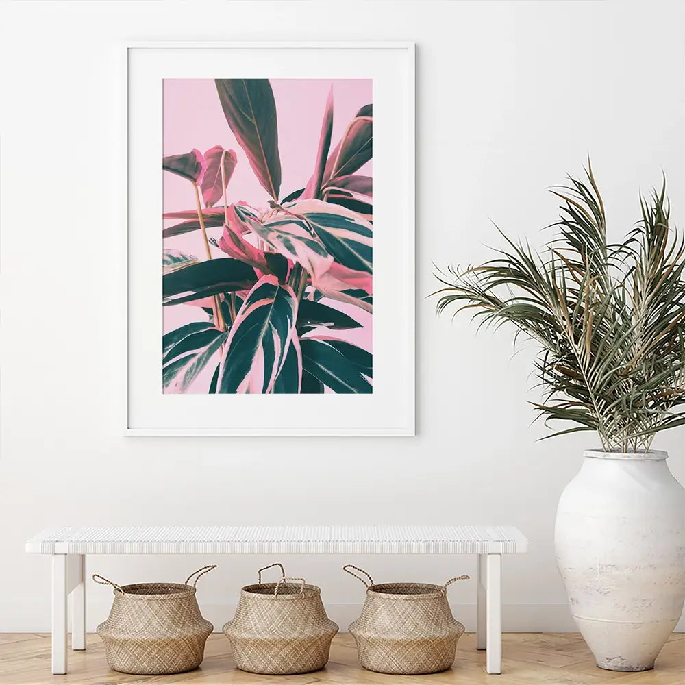Pink Kalathea Framed Art Print Pink Kalathea Framed Art Print wall art product Emanuela Carratoni - Independent