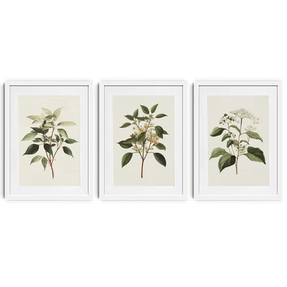 Plants Framed Art Print Trio Plants Framed Art Print Trio wall art product IAmHomeStudio