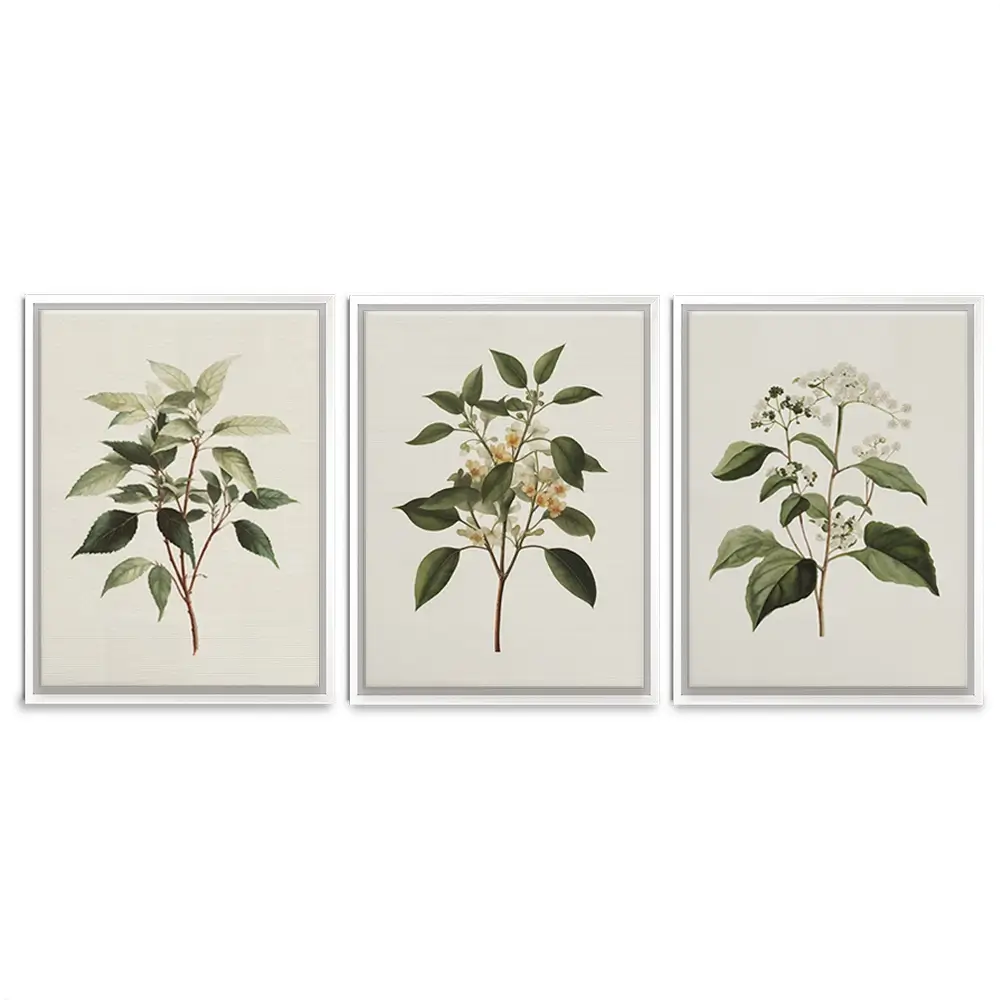 Plants Trio Canvas Print Plants Trio Canvas Print wall art product IAmHomeStudio