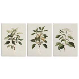 Plants Trio Canvas Print Plants Trio Canvas Print wall art product IAmHomeStudio