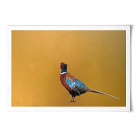 Please Don't Shoot Me Art Print Please Don't Shoot Me Art Print wall art product Laure Bury