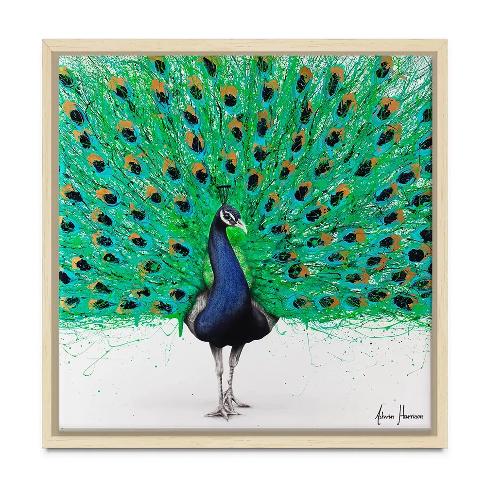 Proud Peacock Square Canvas Print Proud Peacock Square Canvas Print wall art product Ashvin Harrison