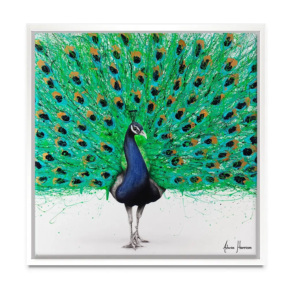 Proud Peacock Square Canvas Print Proud Peacock Square Canvas Print wall art product Ashvin Harrison