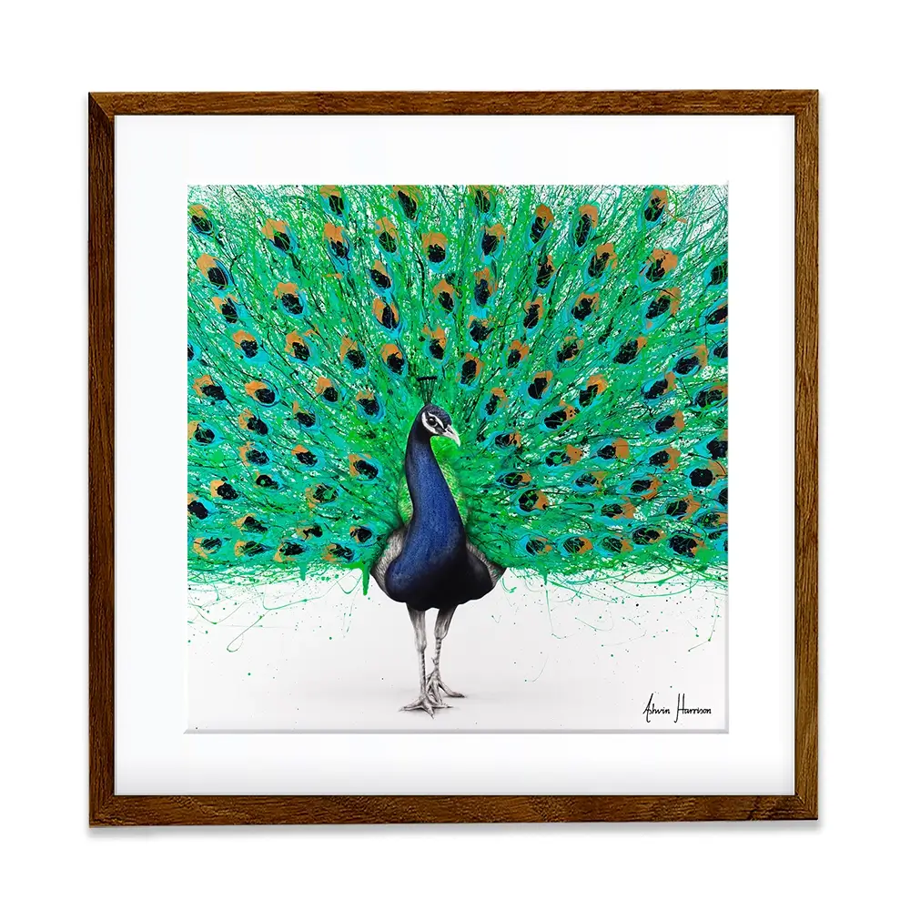 Proud Peacock Square Framed Art Print Proud Peacock Square Framed Art Print wall art product Ashvin Harrison