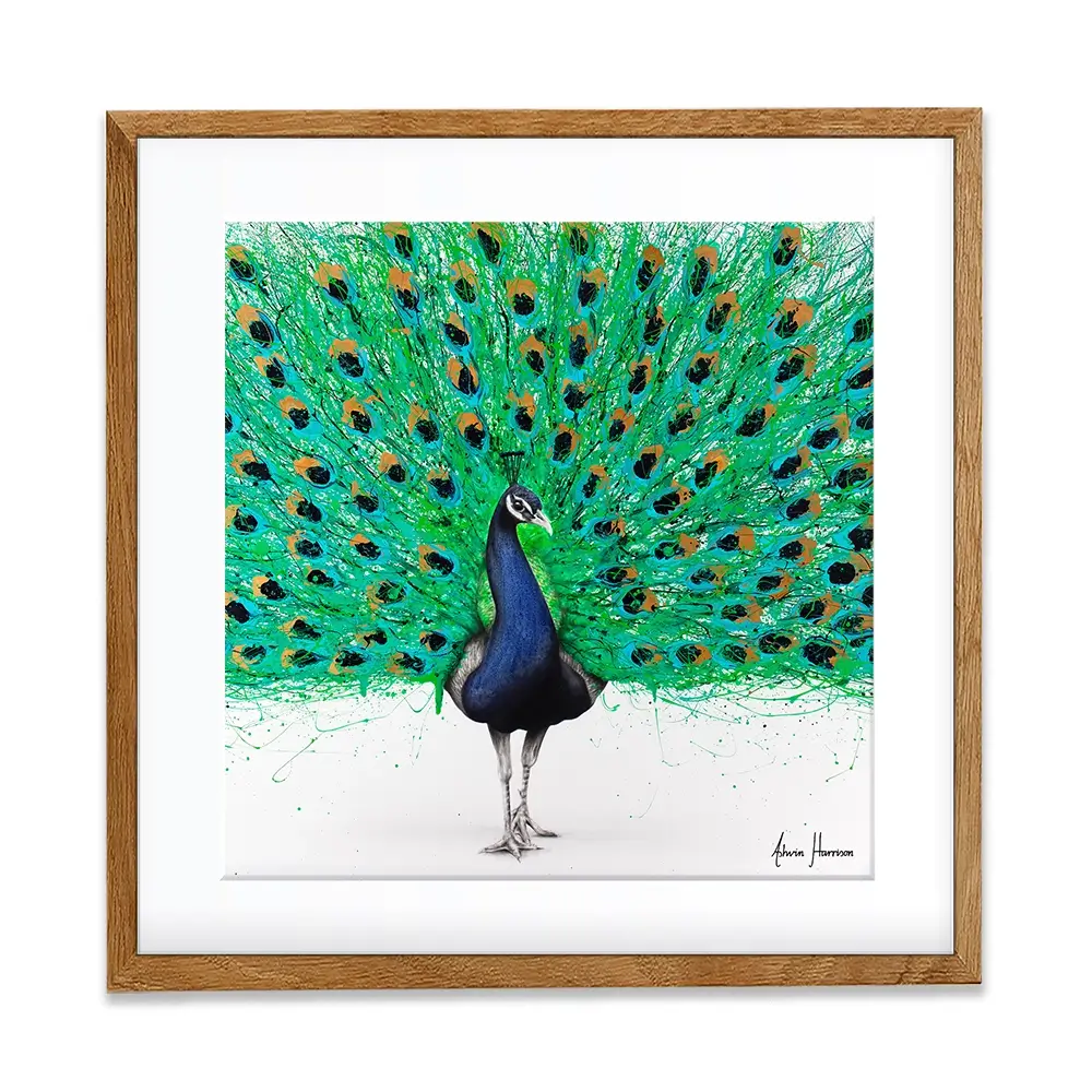 Proud Peacock Square Framed Art Print Proud Peacock Square Framed Art Print wall art product Ashvin Harrison