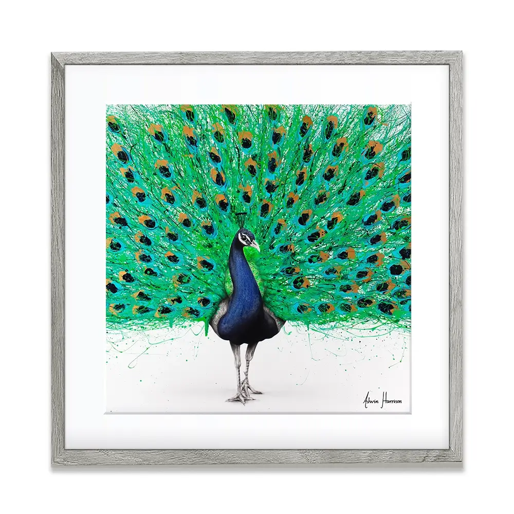 Proud Peacock Square Framed Art Print Proud Peacock Square Framed Art Print wall art product Ashvin Harrison