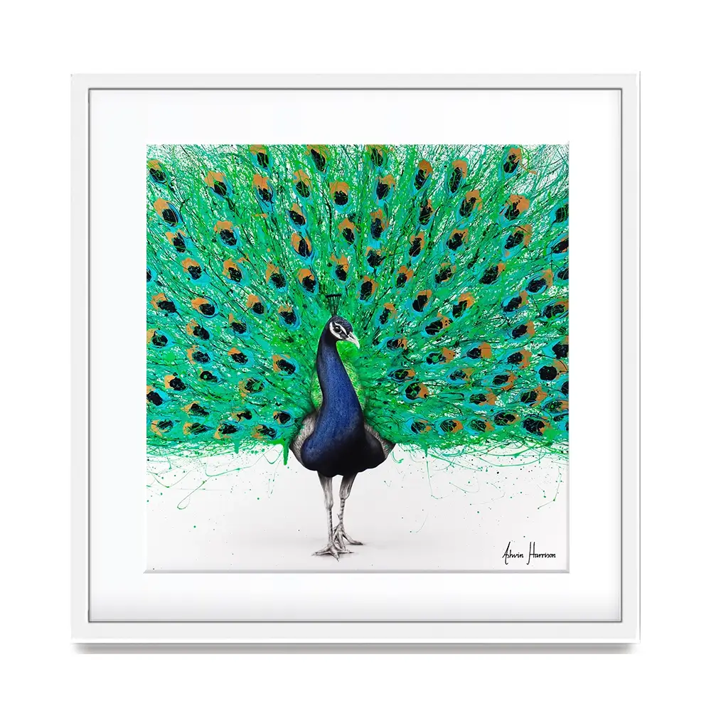 Proud Peacock Square Framed Art Print Proud Peacock Square Framed Art Print wall art product Ashvin Harrison