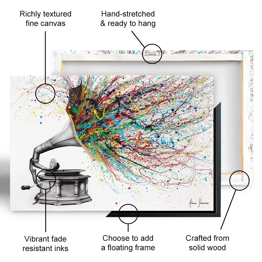 Radical Rhapsody Canvas Print Radical Rhapsody Canvas Print wall art product Ashvin Harrison