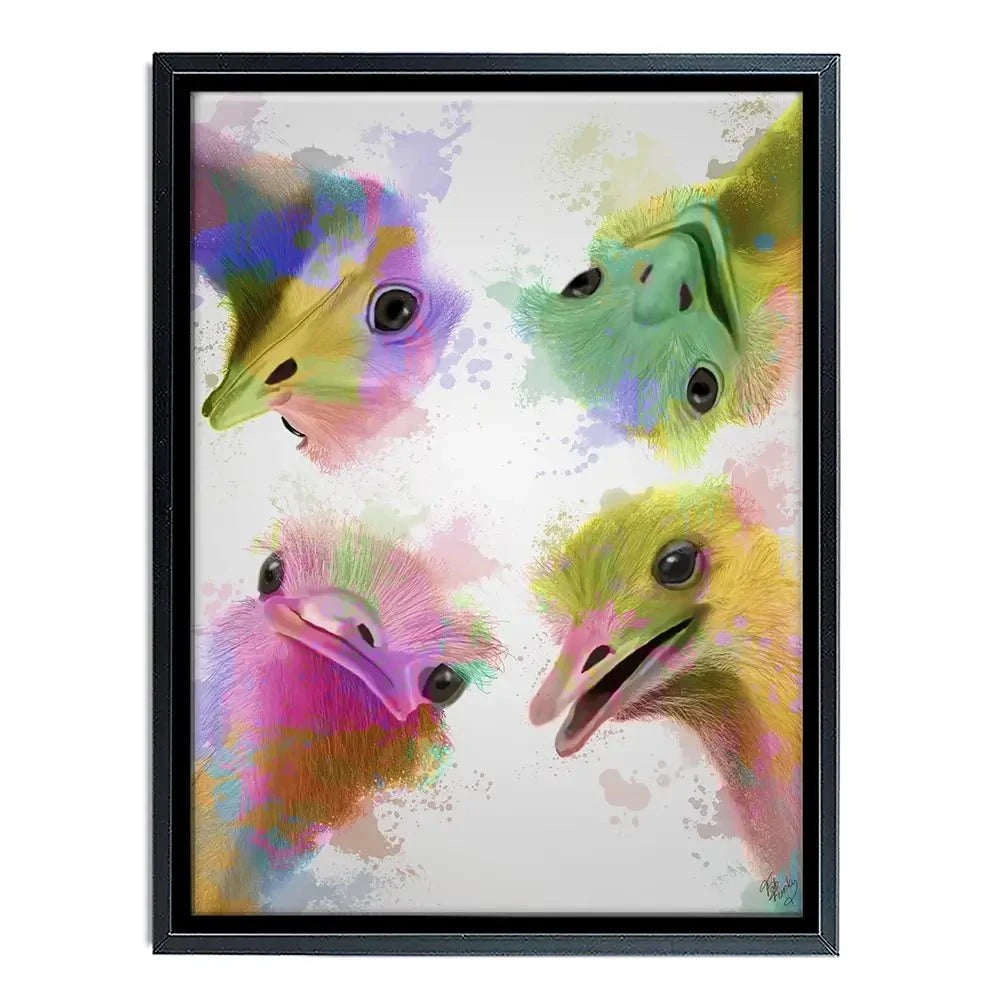 Rainbow Splash Four Ostriches Canvas Print Rainbow Splash Four Ostriches Canvas Print wall art product Fab Funky