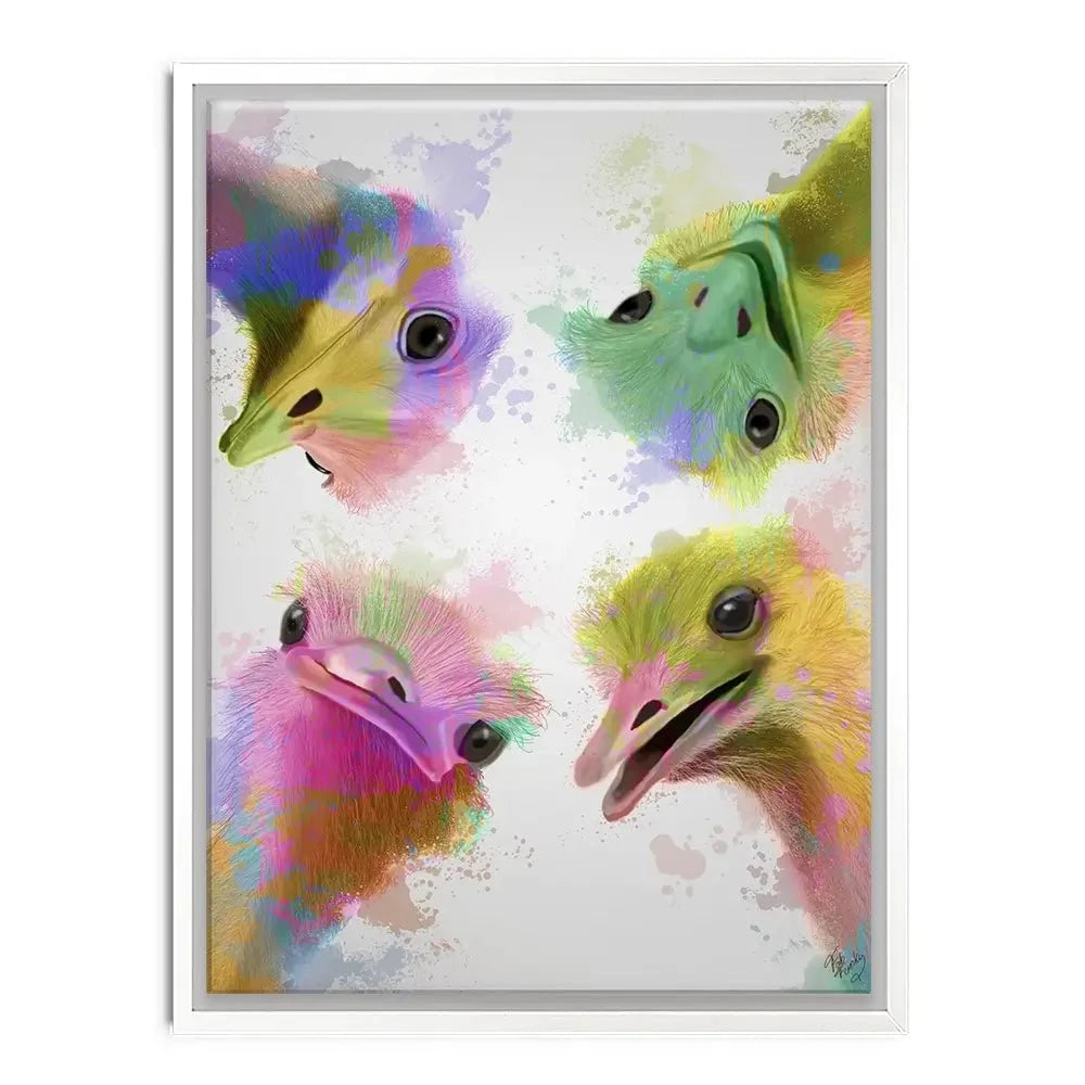 Rainbow Splash Four Ostriches Canvas Print Rainbow Splash Four Ostriches Canvas Print wall art product Fab Funky
