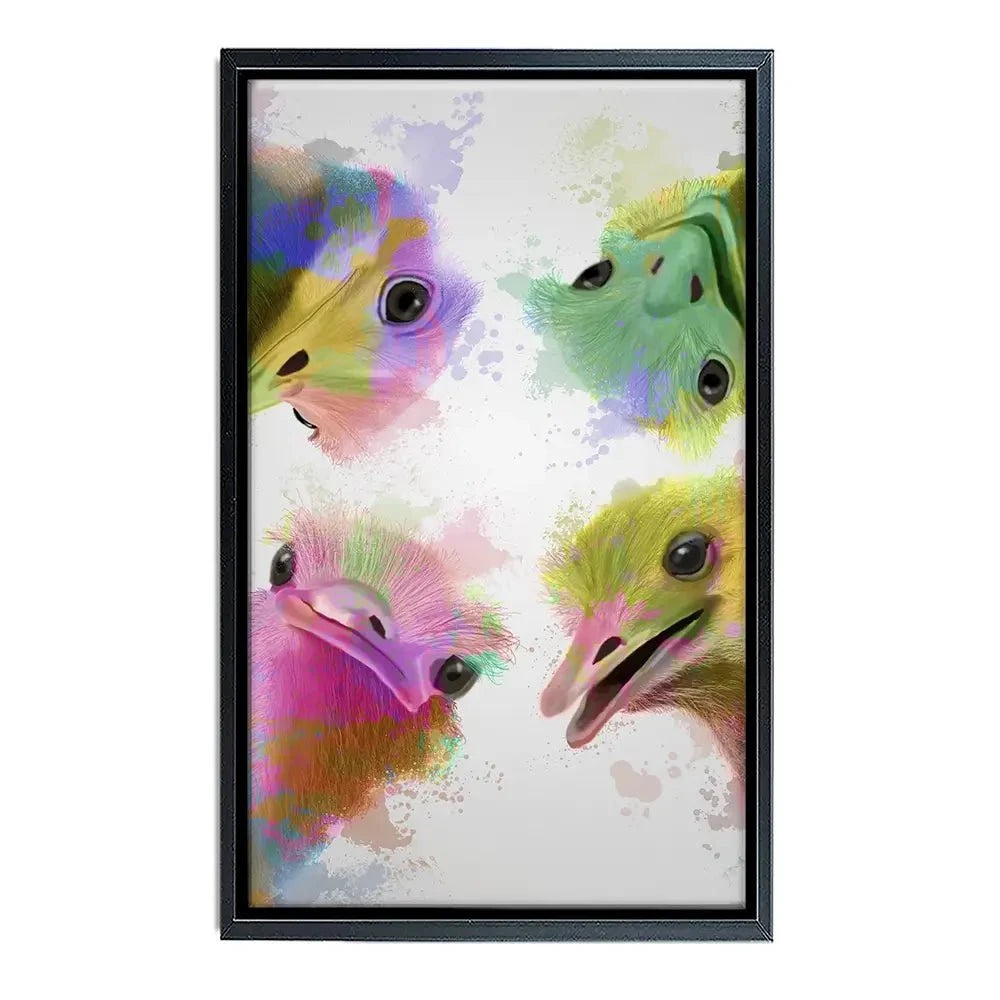 Rainbow Splash Four Ostriches Canvas Print Rainbow Splash Four Ostriches Canvas Print wall art product Fab Funky