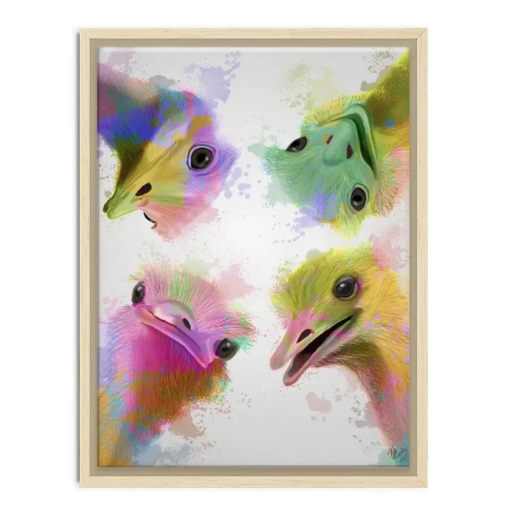 Rainbow Splash Four Ostriches Canvas Print Rainbow Splash Four Ostriches Canvas Print wall art product Fab Funky