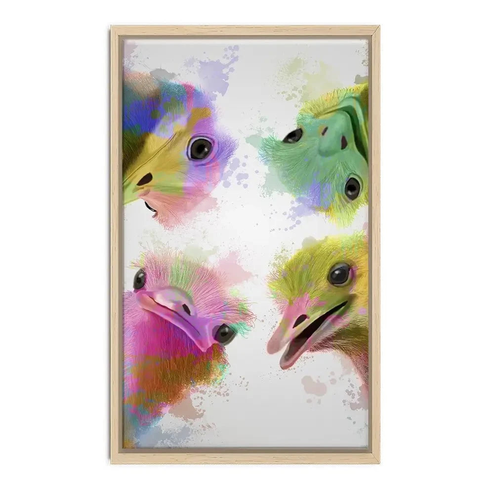 Rainbow Splash Four Ostriches Canvas Print Rainbow Splash Four Ostriches Canvas Print wall art product Fab Funky