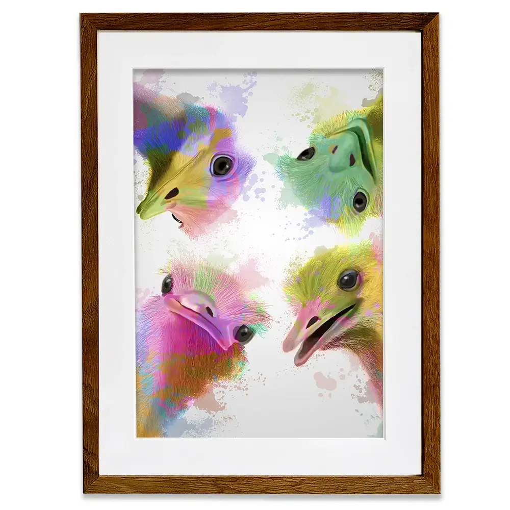 Rainbow Splash Four Ostriches Framed Art Print Rainbow Splash Four Ostriches Framed Art Print wall art product Fab Funky