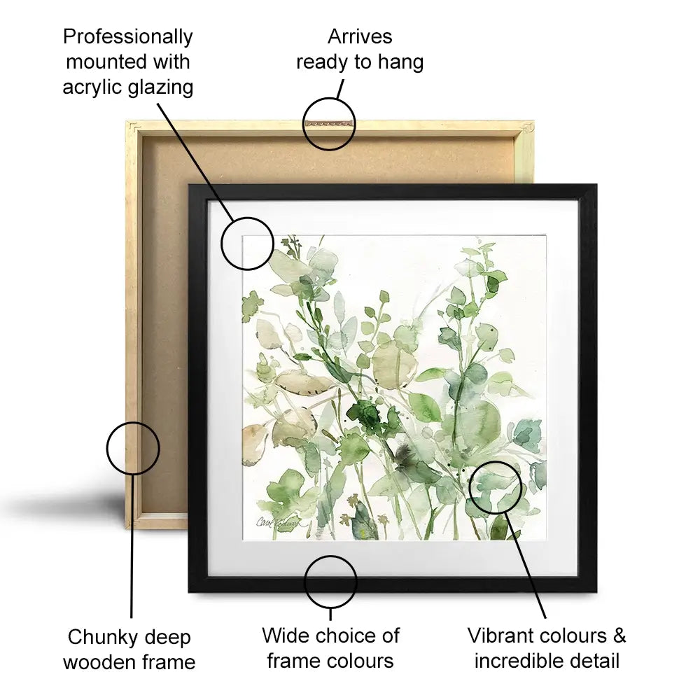 Sage Garden 2 Square Framed Art Print Sage Garden 2 Square Framed Art Print wall art product Carol Robinson