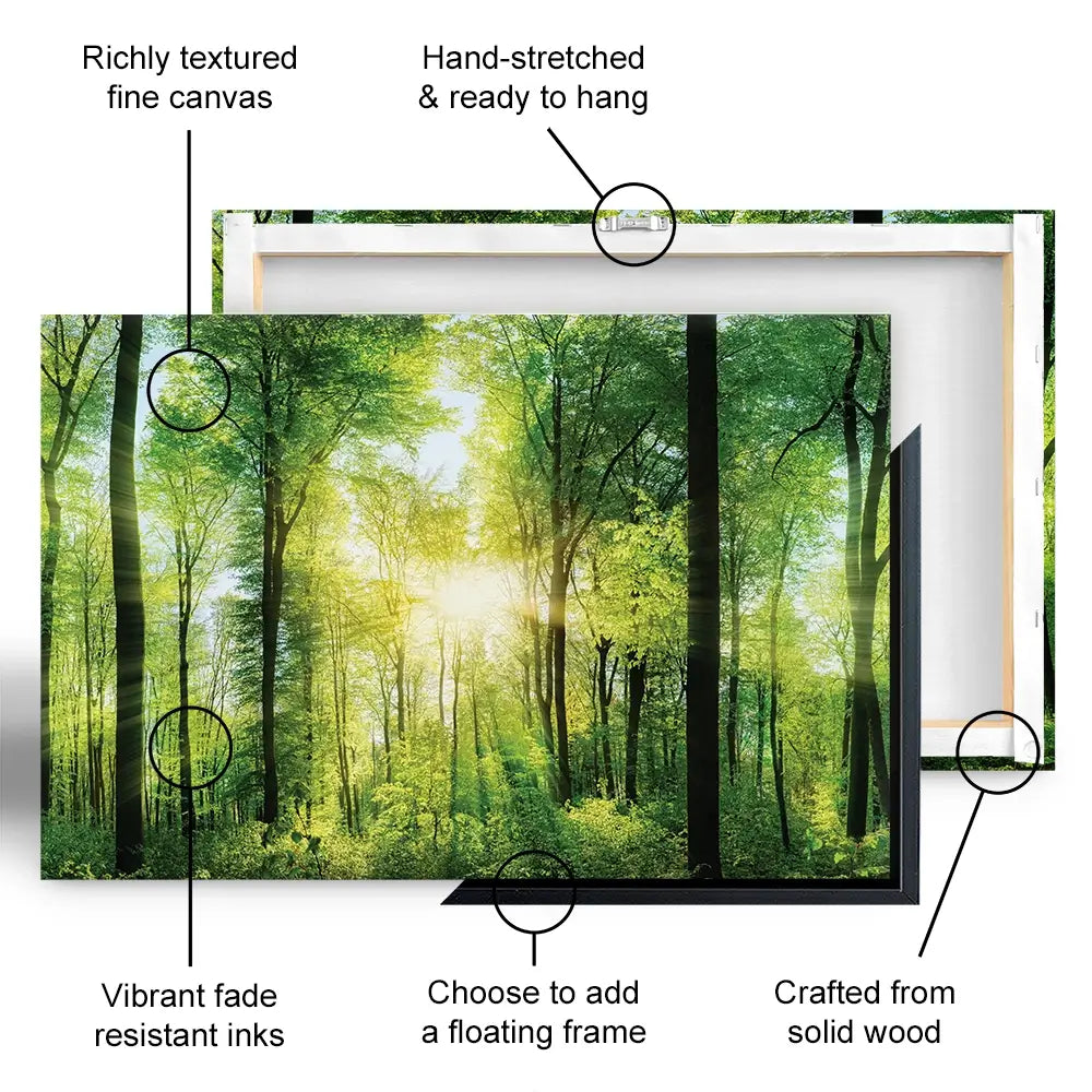 Scenic Forest Canvas Print Scenic Forest Canvas Print wall art product Smileus / Shutterstock
