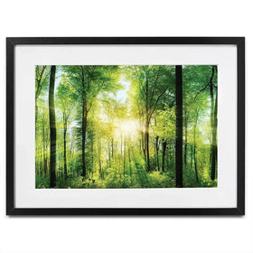Scenic Forest Framed Art Print Scenic Forest Framed Art Print wall art product Smileus / Shutterstock