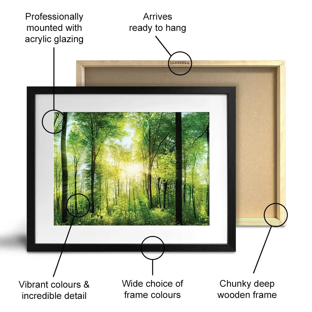 Scenic Forest Framed Art Print Scenic Forest Framed Art Print wall art product Smileus / Shutterstock