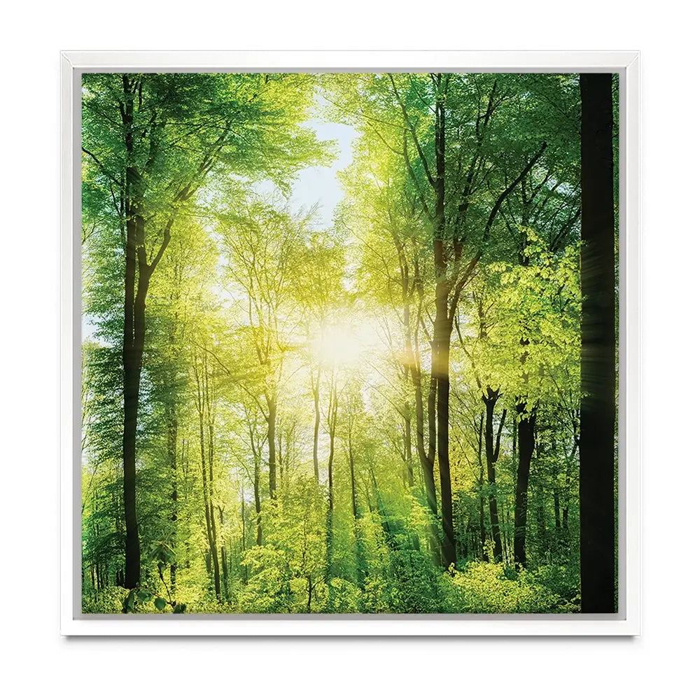 Scenic Forest Oversized Canvas Print Scenic Forest Oversized Canvas Print wall art product Art Print Shop