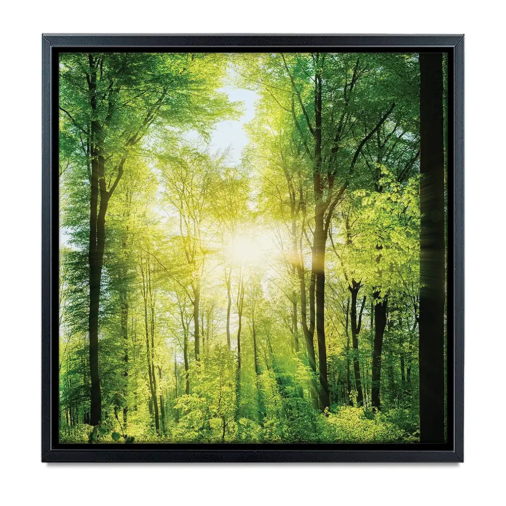 Scenic Forest Oversized Canvas Print Scenic Forest Oversized Canvas Print wall art product Art Print Shop