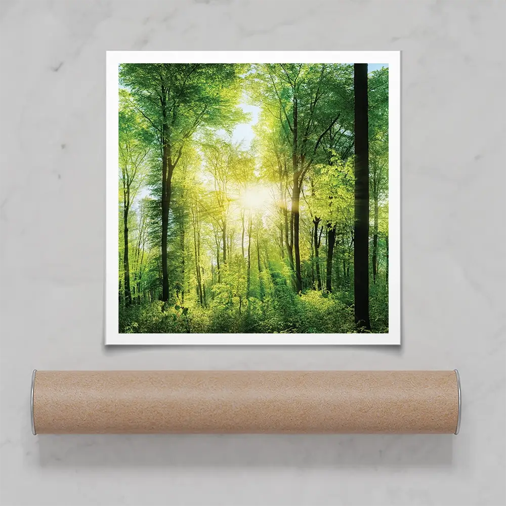 Scenic Forest Square Art Print Scenic Forest Square Art Print wall art product Smileus / Shutterstock