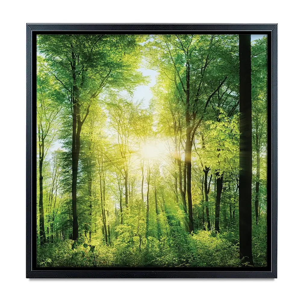 Scenic Forest Square Canvas Print Scenic Forest Square Canvas Print wall art product Smileus / Shutterstock
