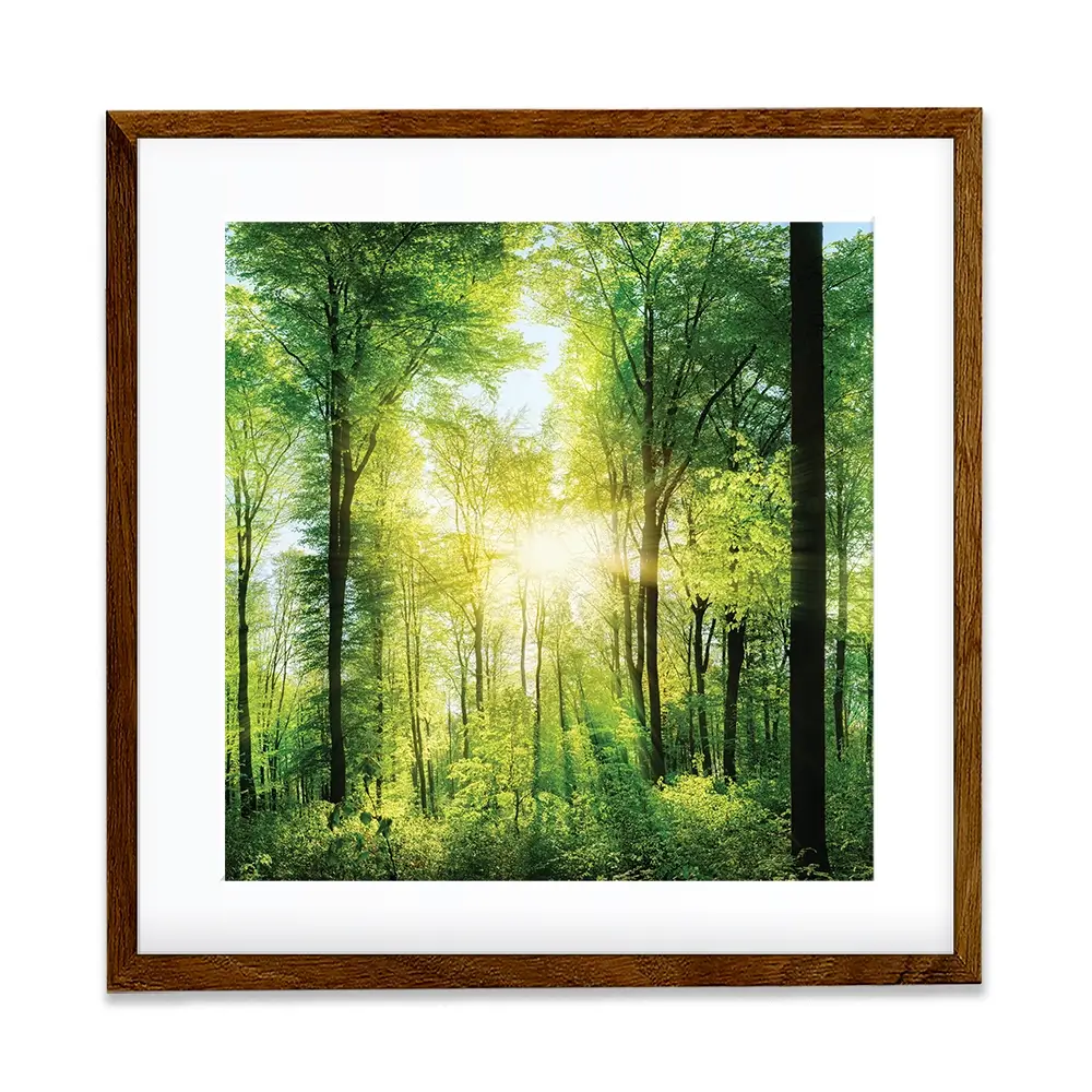 Scenic Forest Square Framed Art Print Scenic Forest Square Framed Art Print wall art product Smileus / Shutterstock