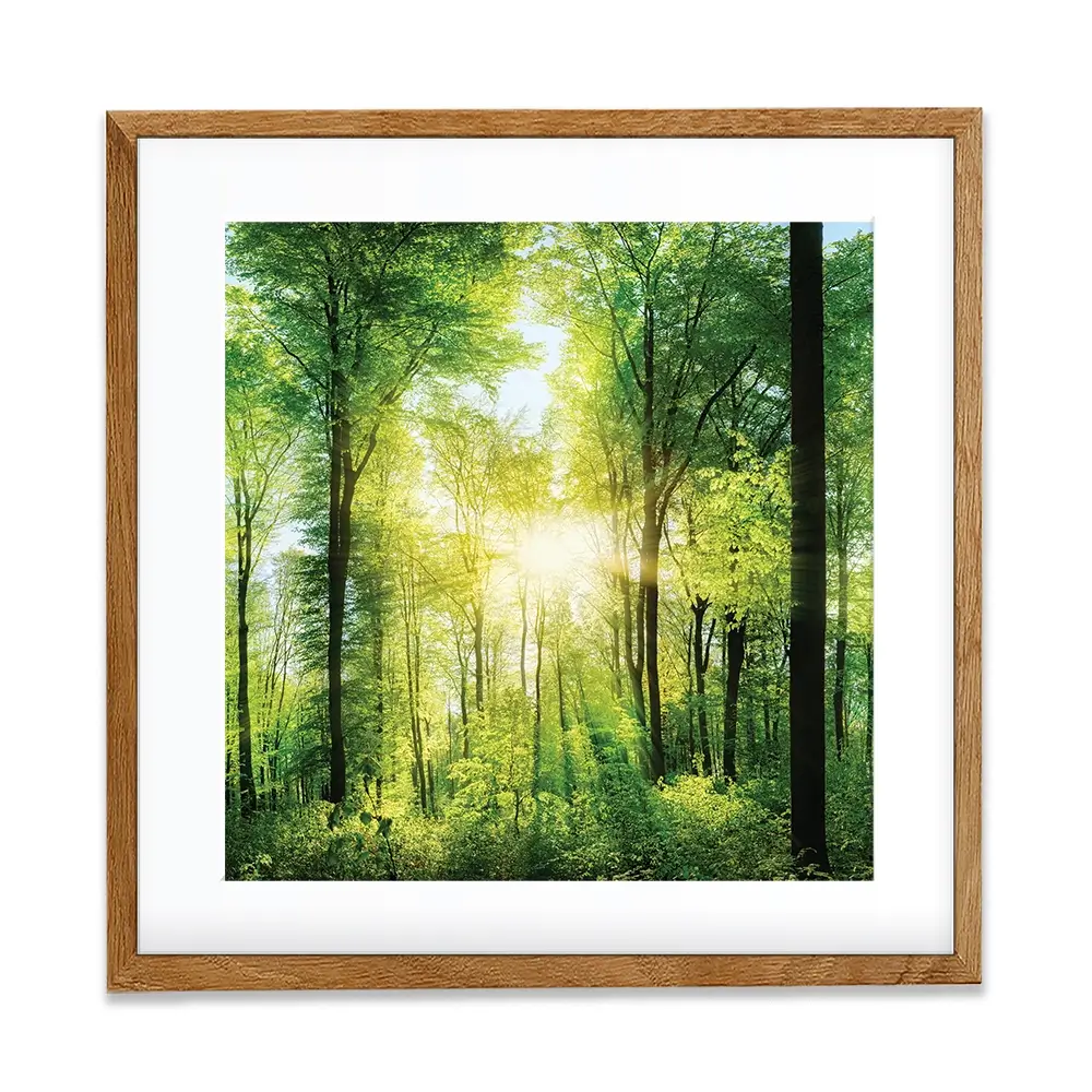 Scenic Forest Square Framed Art Print Scenic Forest Square Framed Art Print wall art product Smileus / Shutterstock