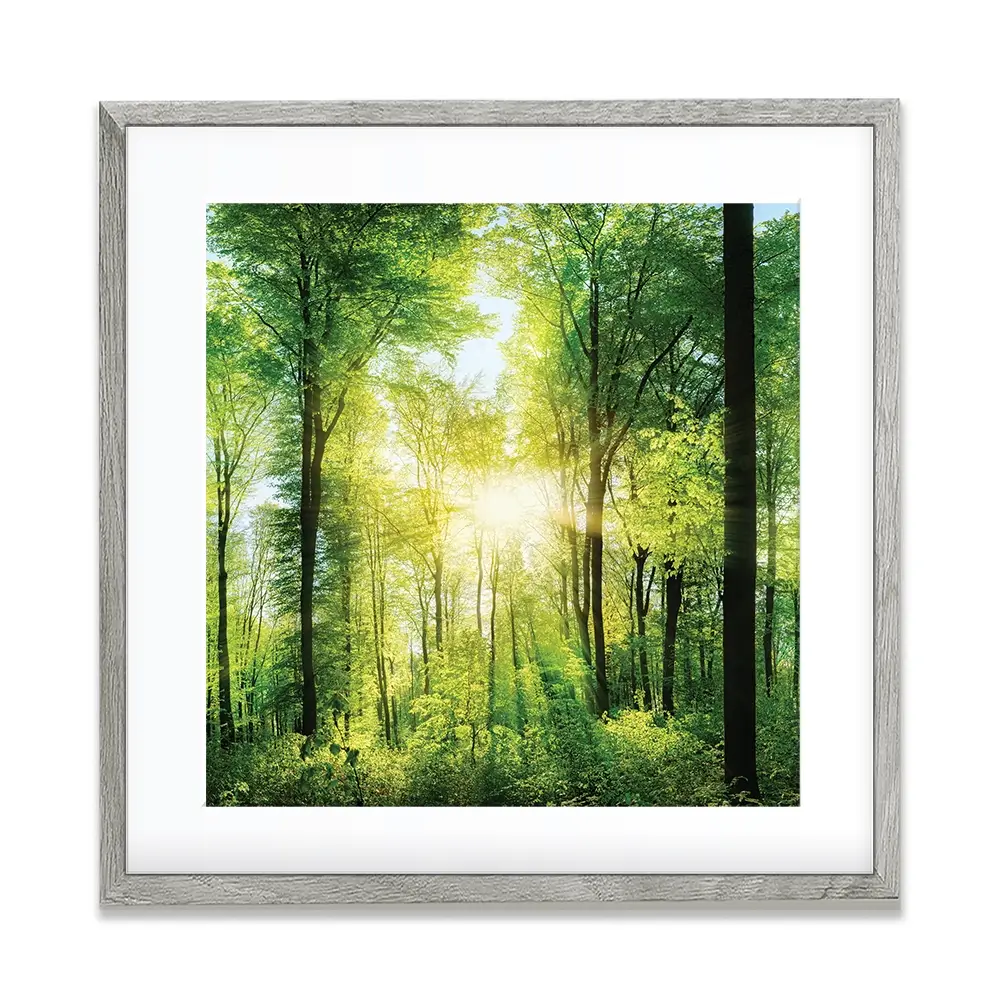 Scenic Forest Square Framed Art Print Scenic Forest Square Framed Art Print wall art product Smileus / Shutterstock