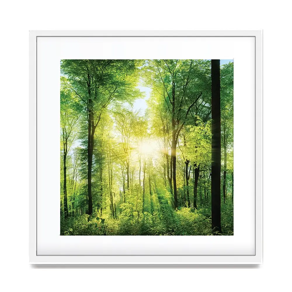 Scenic Forest Square Framed Art Print Scenic Forest Square Framed Art Print wall art product Smileus / Shutterstock