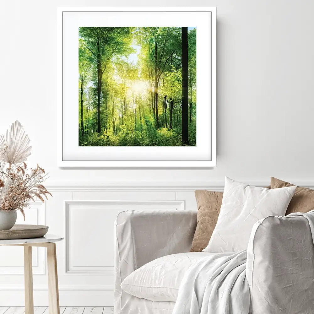 Scenic Forest Square Framed Art Print Scenic Forest Square Framed Art Print wall art product Smileus / Shutterstock