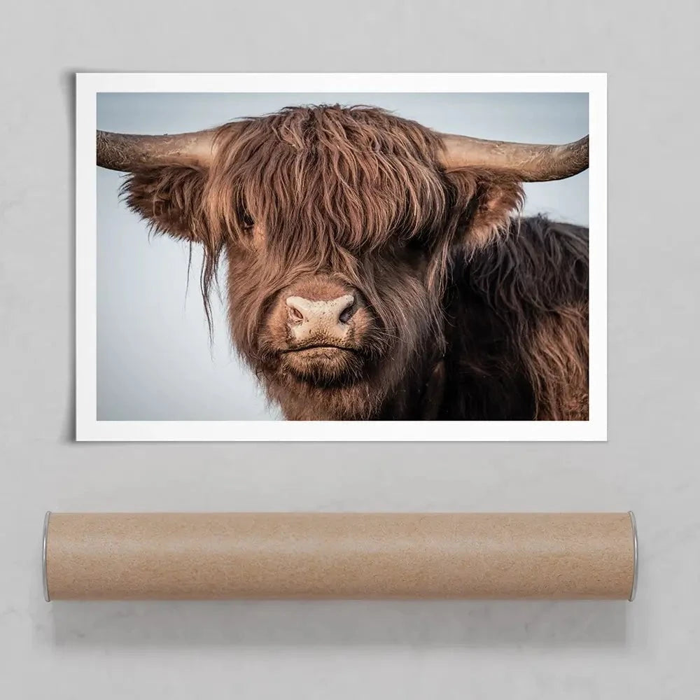 Scottish Brown Highland Cattle Art Print Scottish Brown Highland Cattle Art Print wall art product Sandro Fabris / Shutterstock