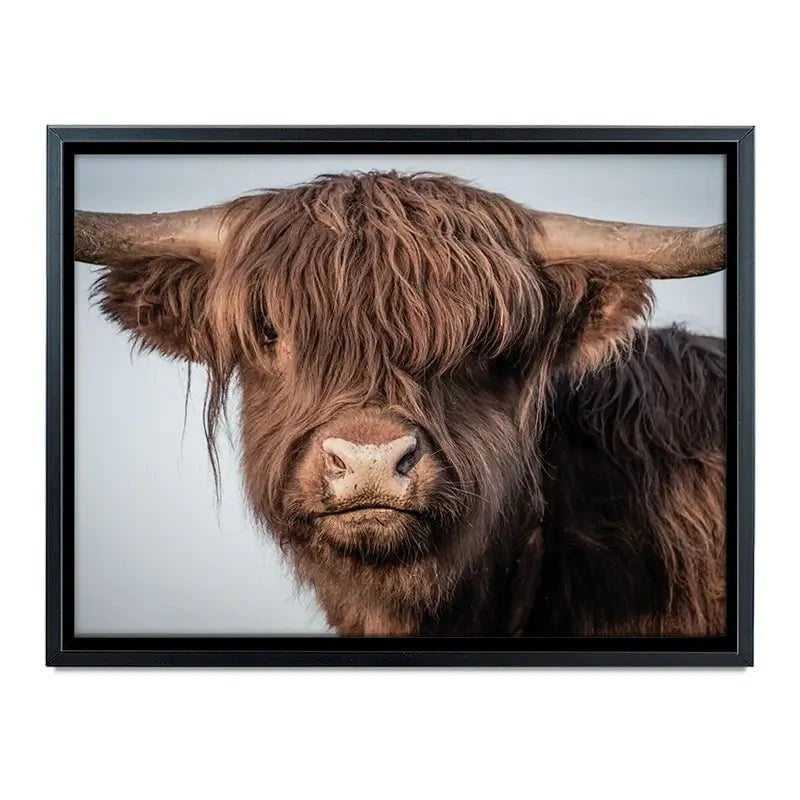 Scottish Brown Highland Cattle Canvas Print Scottish Brown Highland Cattle Canvas Print wall art product Sandro Fabris / Shutterstock
