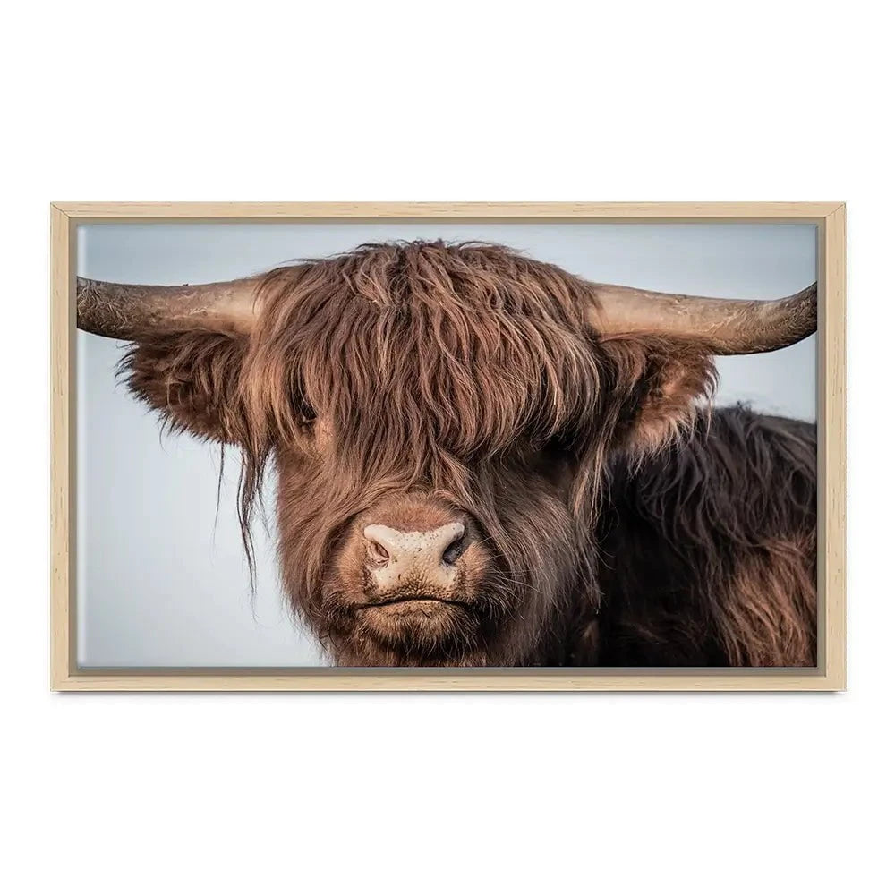 Scottish Brown Highland Cattle Canvas Print Scottish Brown Highland Cattle Canvas Print wall art product Sandro Fabris / Shutterstock