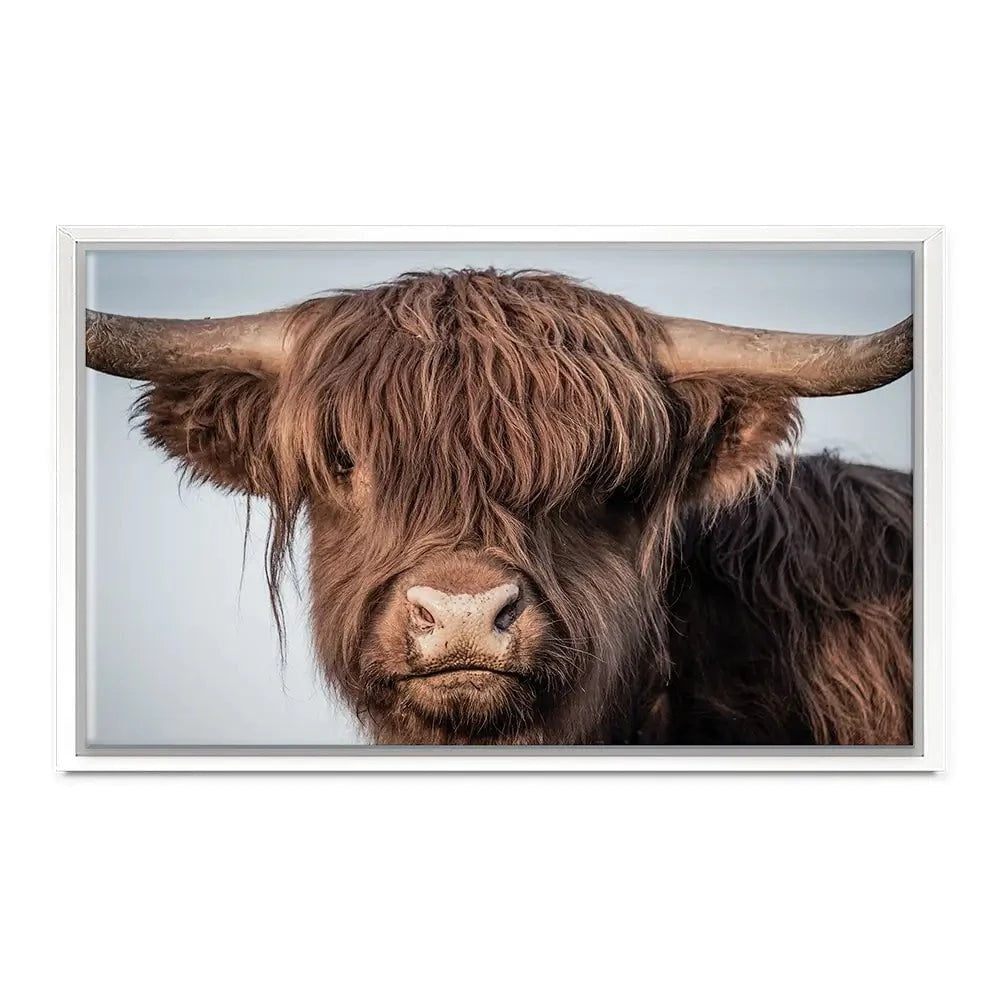 Scottish Brown Highland Cattle Canvas Print Scottish Brown Highland Cattle Canvas Print wall art product Sandro Fabris / Shutterstock