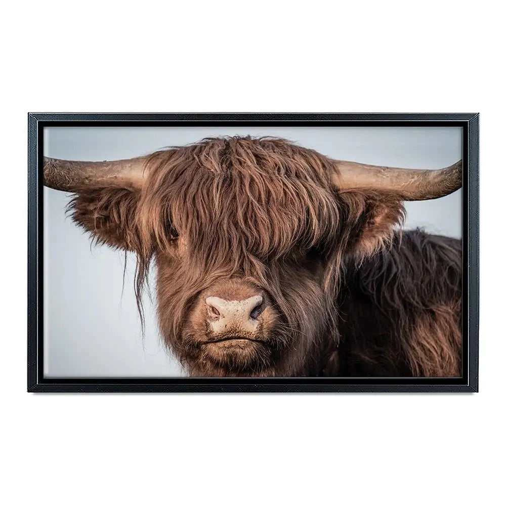 Scottish Brown Highland Cattle Canvas Print Scottish Brown Highland Cattle Canvas Print wall art product Sandro Fabris / Shutterstock