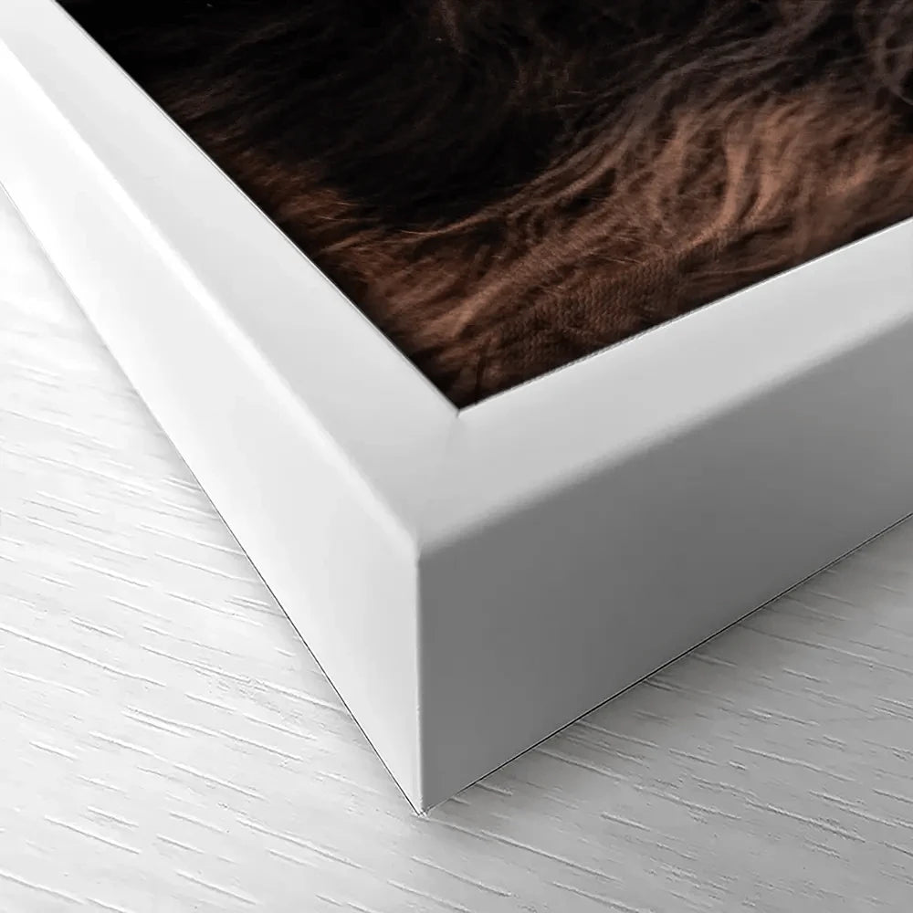 Scottish Brown Highland Cattle Canvas Print Scottish Brown Highland Cattle Canvas Print wall art product Sandro Fabris / Shutterstock