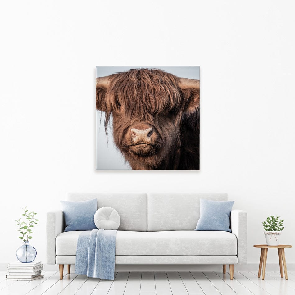 Scottish Brown Highland Cattle Square Canvas Print wall art product Sandro Fabris / Shutterstock