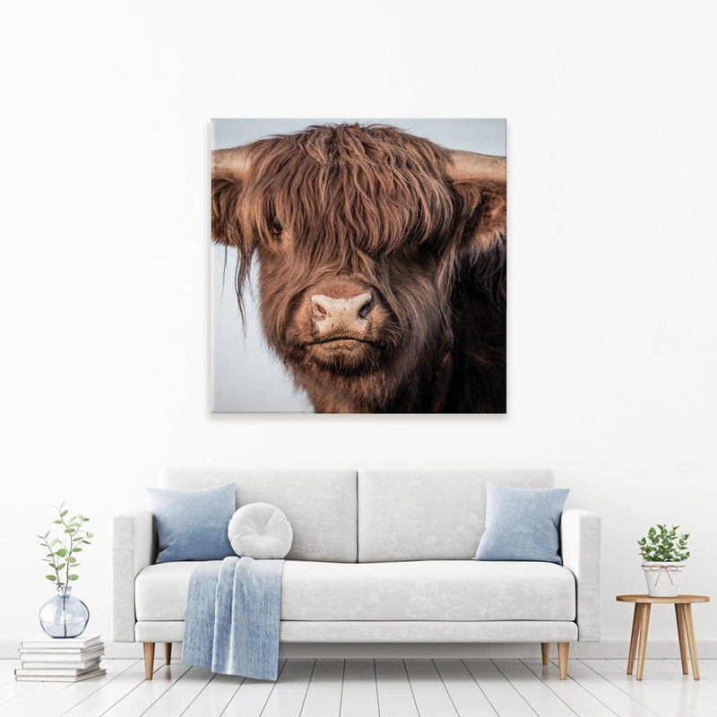 Scottish Brown Highland Cattle Square Canvas Print wall art product Sandro Fabris / Shutterstock