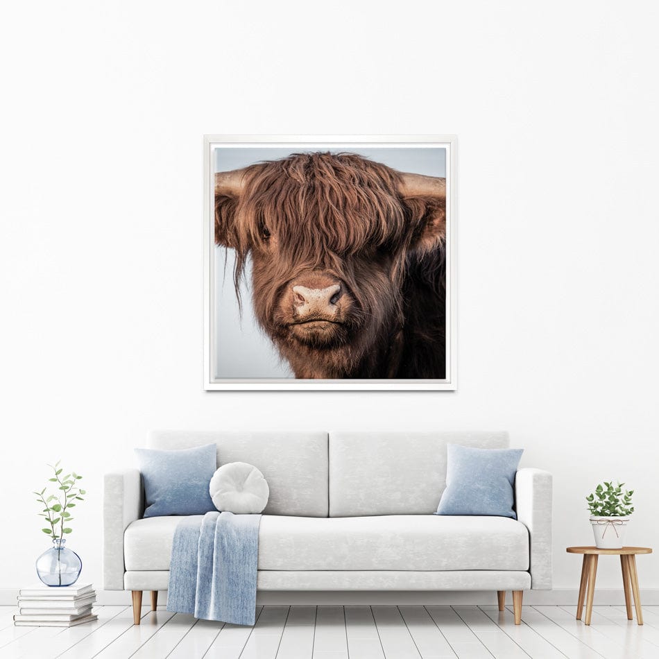 Scottish Brown Highland Cattle Square Canvas Print wall art product Sandro Fabris / Shutterstock
