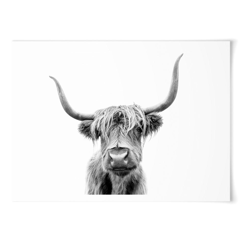 Scottish Highland Cattle Art Print Scottish Highland Cattle Art Print wall art product okufner / Shutterstock