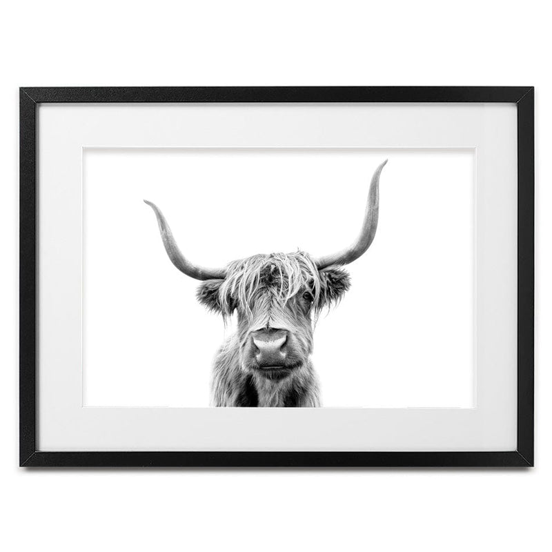 Scottish Highland Cattle Framed Art Print wall art product okufner / Shutterstock