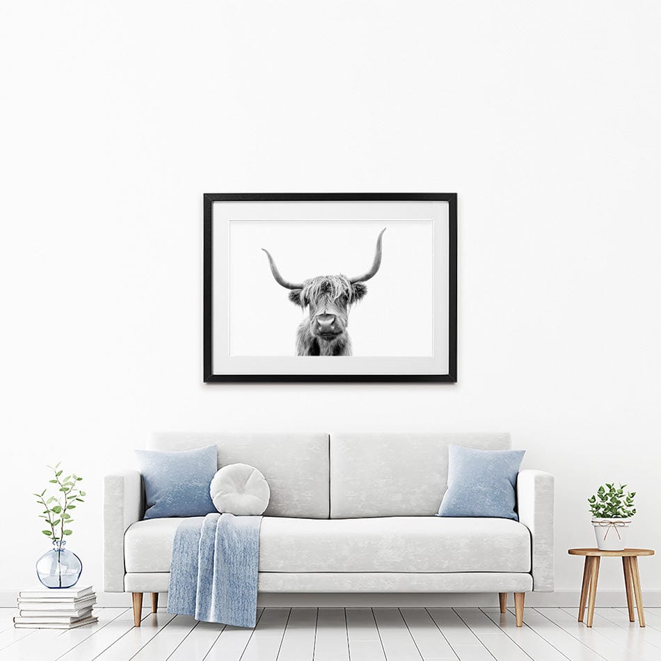 Scottish Highland Cattle Framed Art Print wall art product okufner / Shutterstock