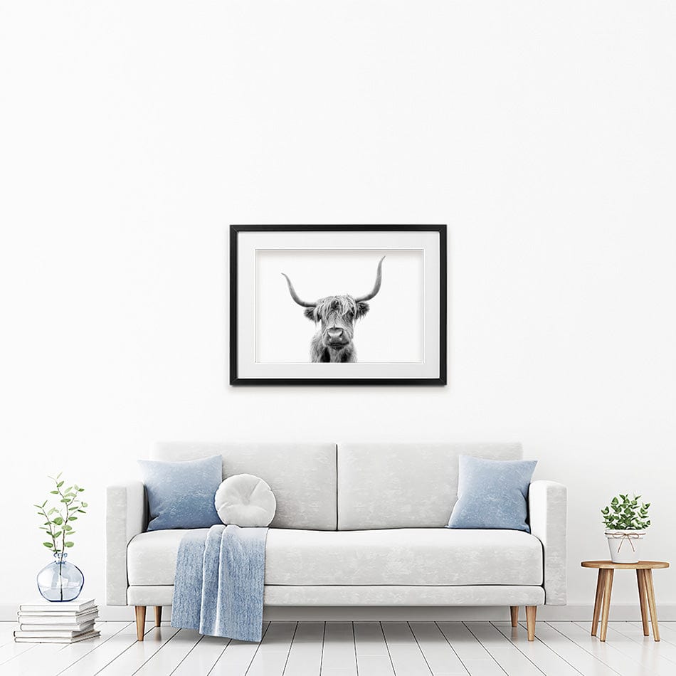 Scottish Highland Cattle Framed Art Print wall art product okufner / Shutterstock