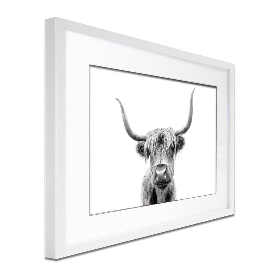 Scottish Highland Cattle Framed Art Print wall art product okufner / Shutterstock