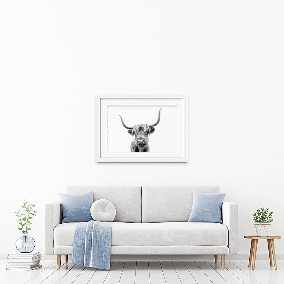 Scottish Highland Cattle Framed Art Print wall art product okufner / Shutterstock