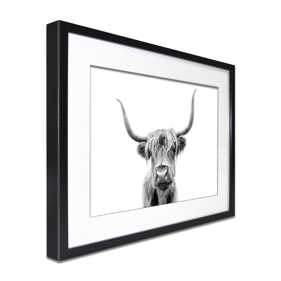Scottish Highland Cattle Framed Art Print wall art product okufner / Shutterstock